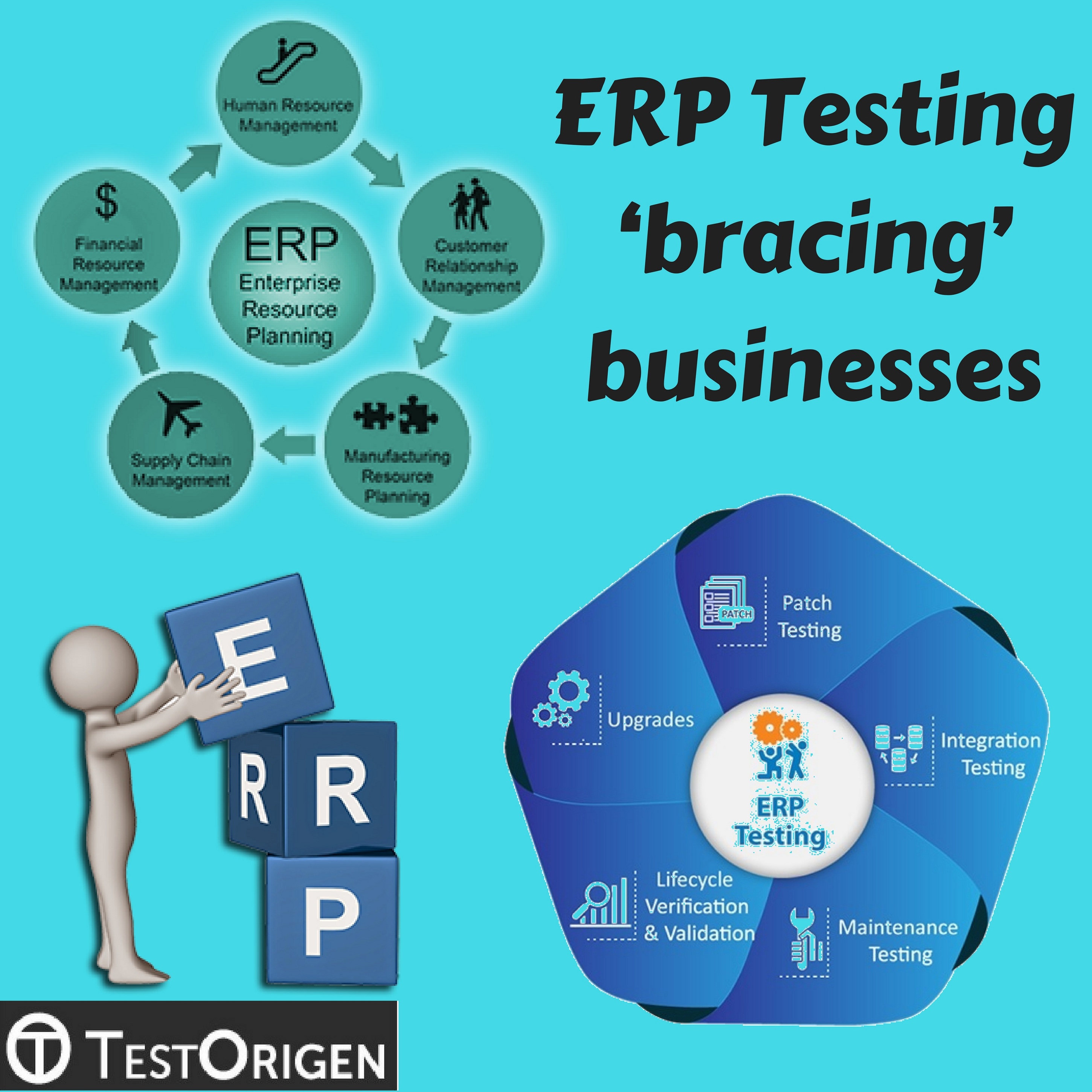 ERP Testing bracing businesses
