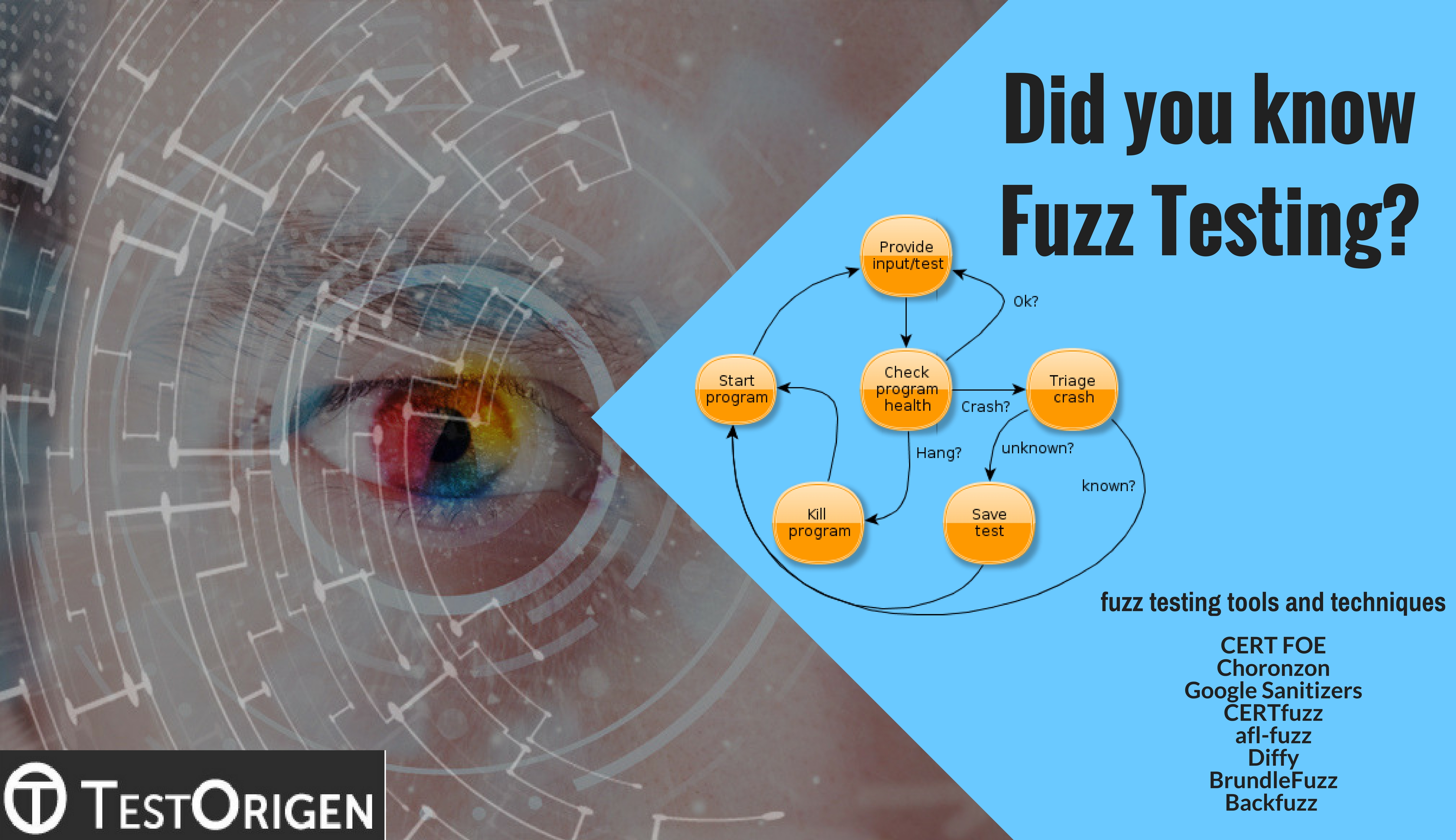 Did You Know Fuzz Testing Testorigen
