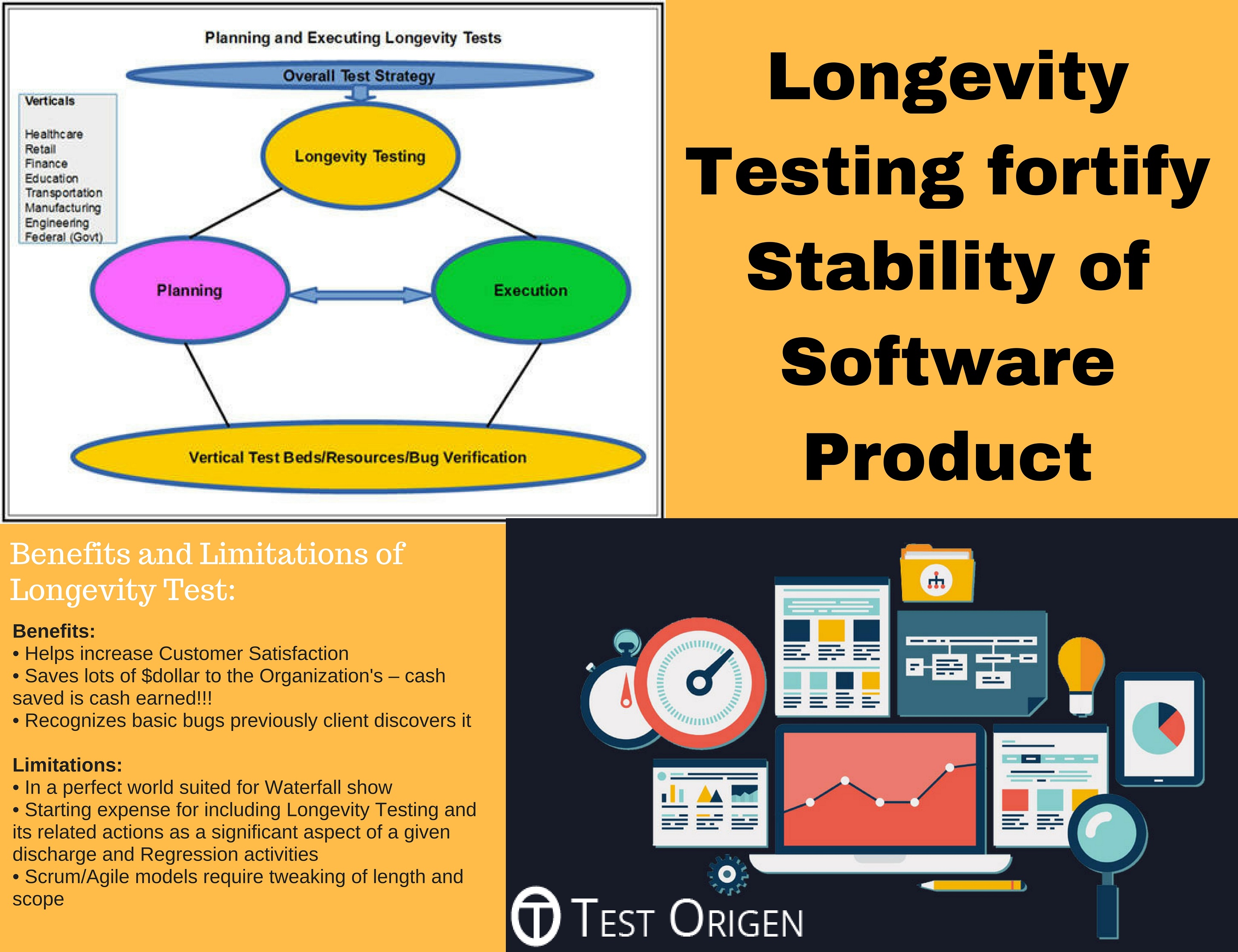 Longevity Testing fortify Stability of Software Product