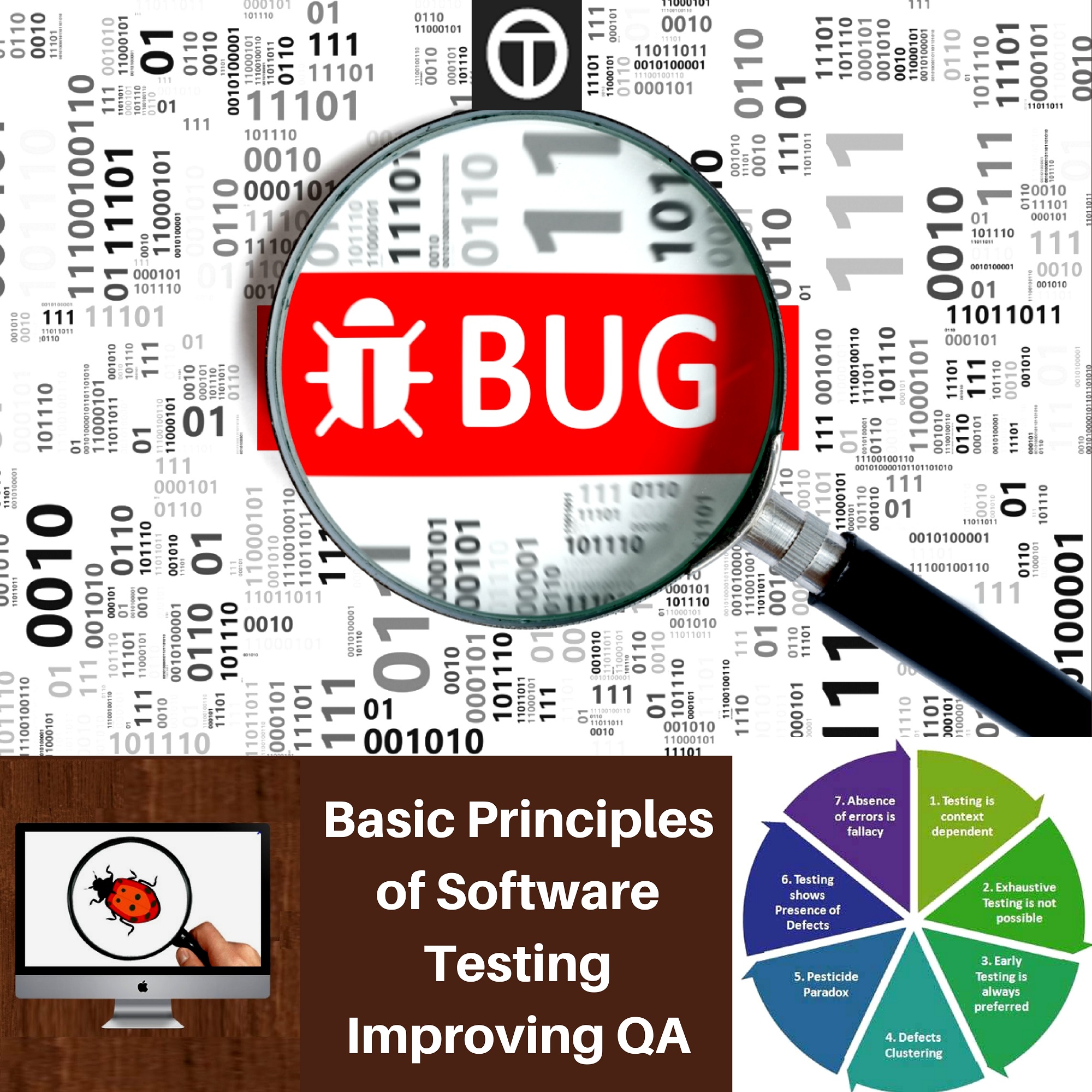 Basic Principles of Software Testing Improving QA