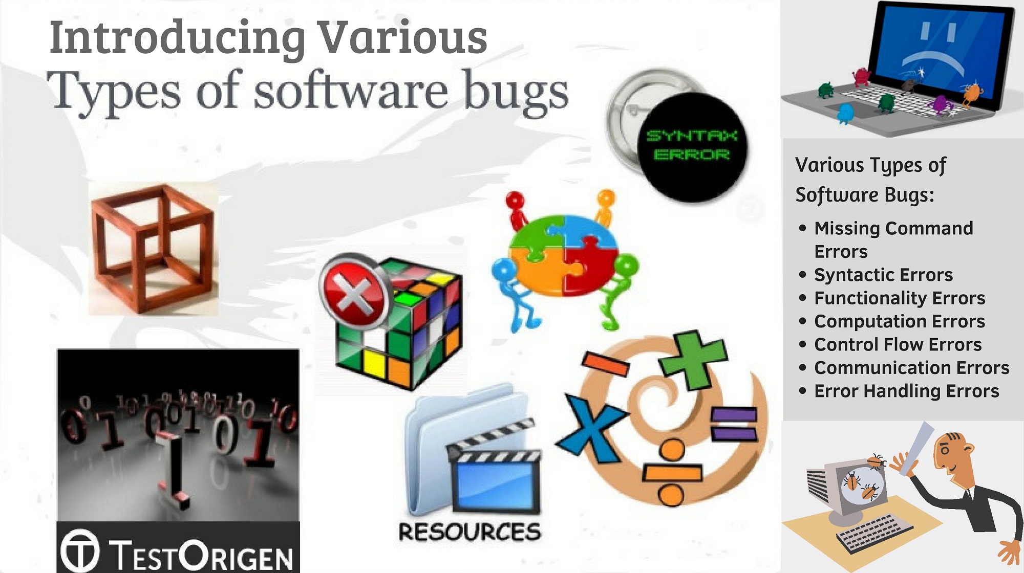 Introducing Various Types of Software Bugs