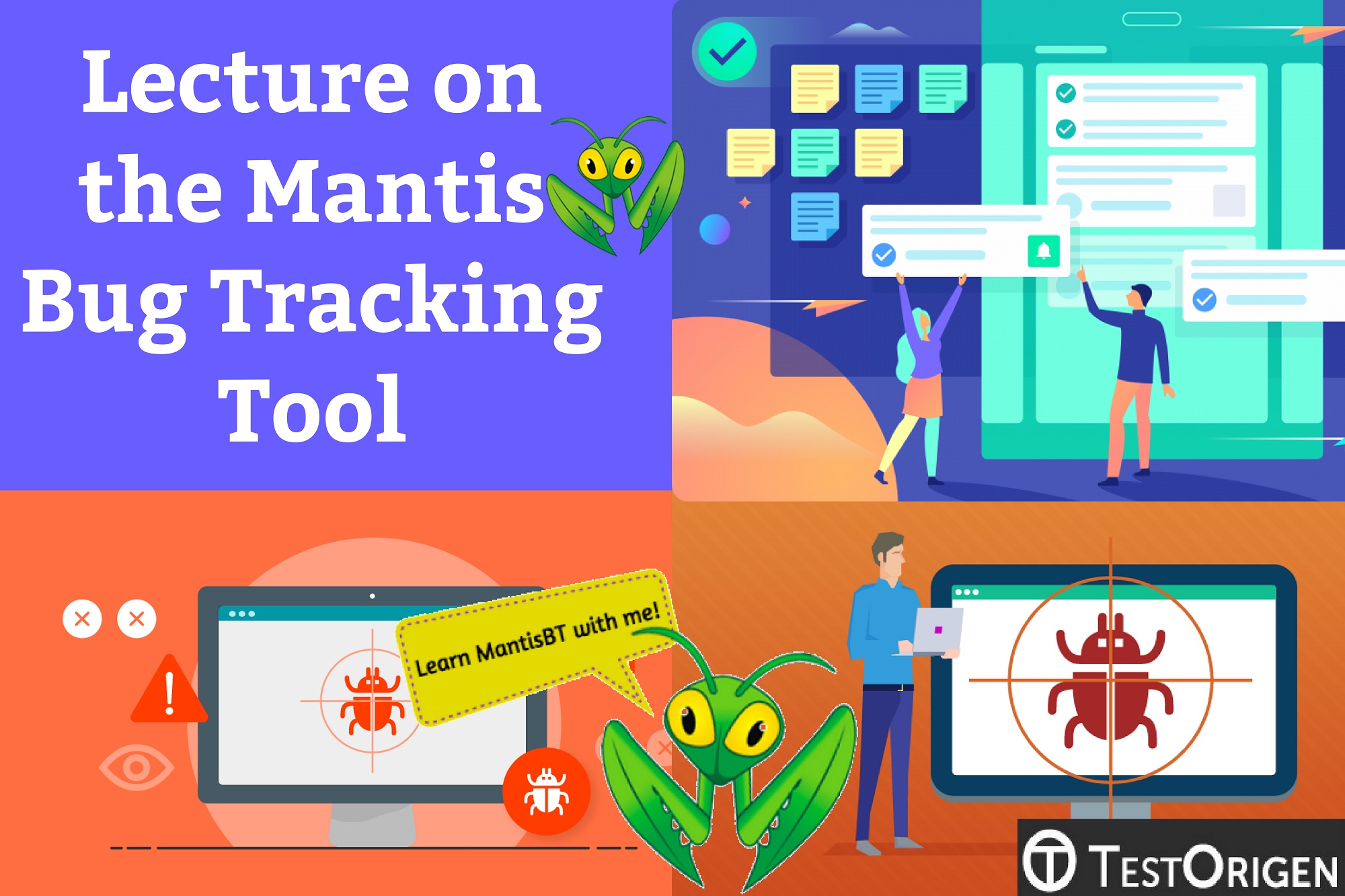 Lecture on the Mantis Bug Tracking Tool