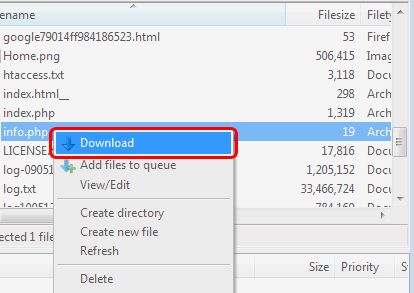 Downloading-records. FileZilla FTP