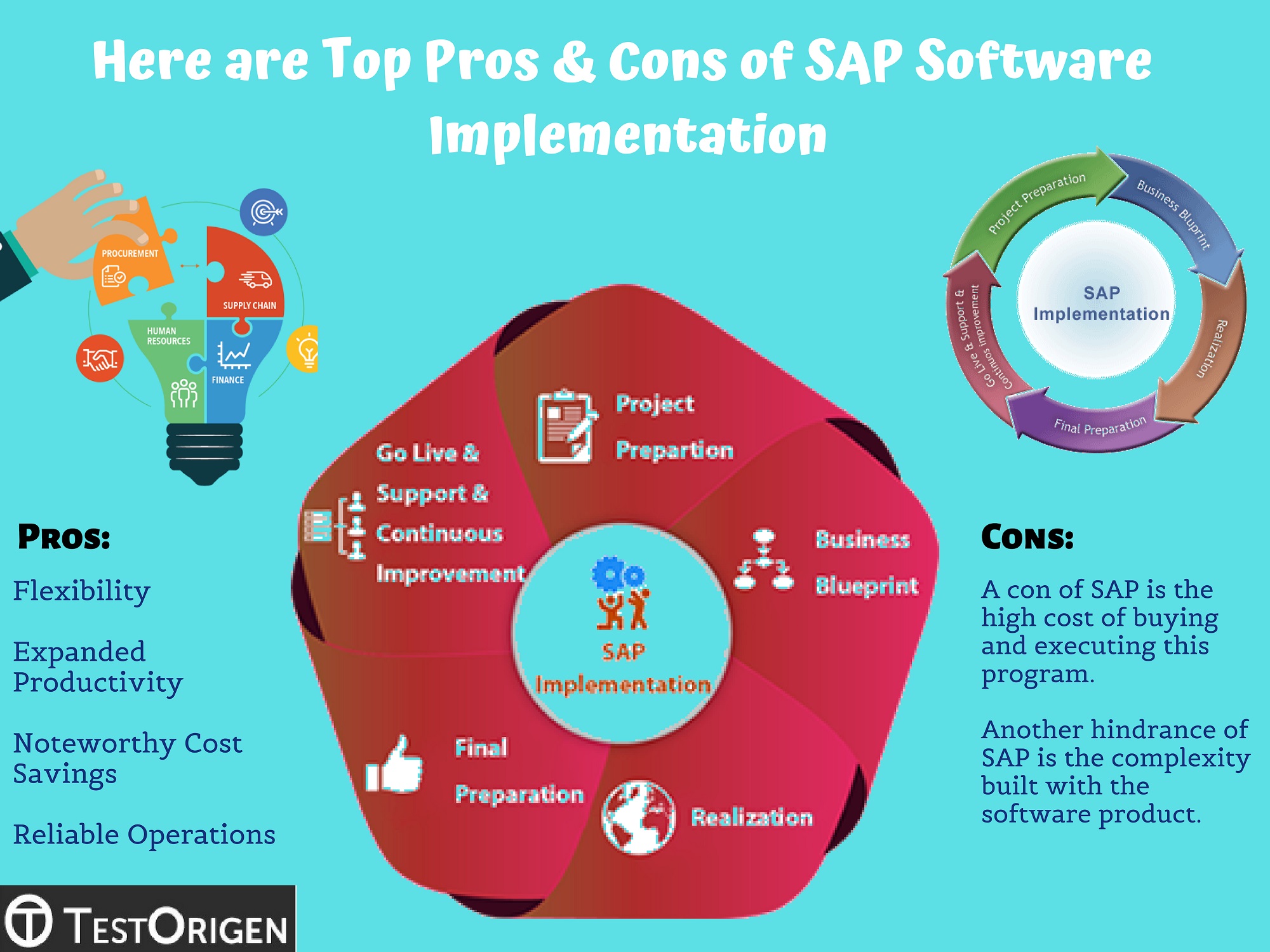 Here are Top Pros & Cons of SAP Software Implementation - TestOrigen