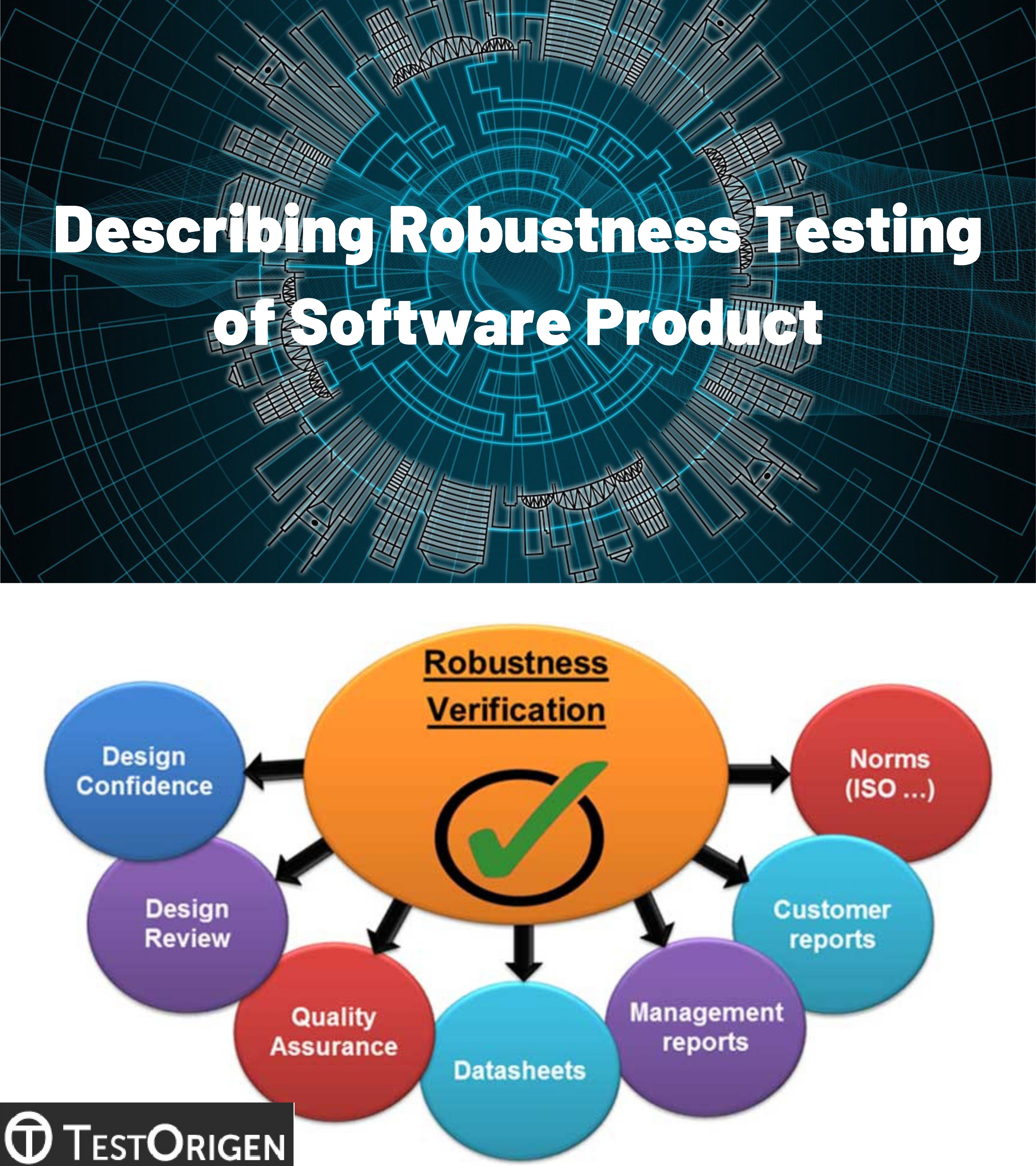 Describing Robustness Testing of Software Product